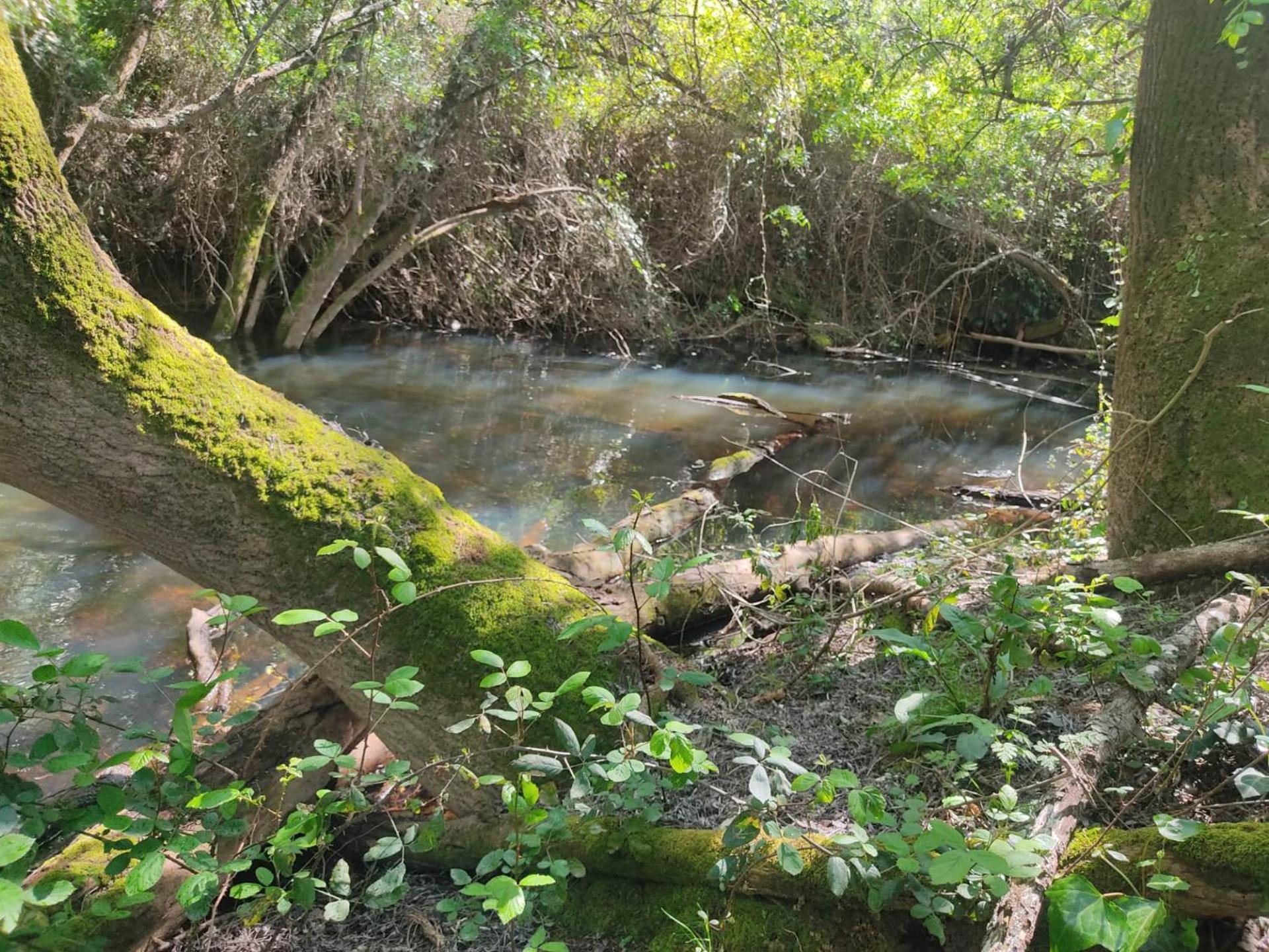 圣路易斯Herdade Da Maceira别墅 外观 照片